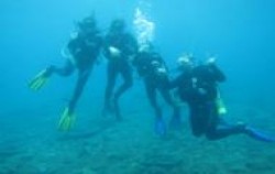 Diving for Beginners