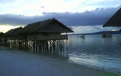 Sorong Raja Ampat 4D3N Tour