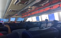 Freebird Express