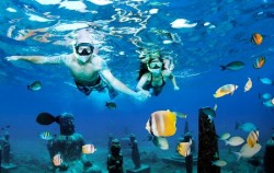 Three Islands Snorkeling by Lembongan Trip