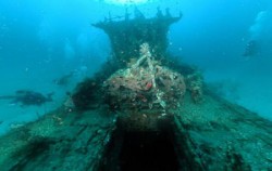 Bali Diving Activities