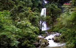 Bali Breeze Cycling Tour