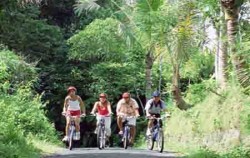 Bali Cycling Tour