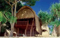 Hai Tide Huts Overnight Package