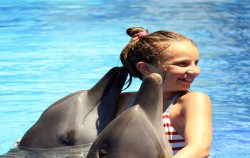 Bali Dolphin Marine Park