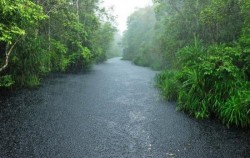 Borneo Overland Trip I 8 Days 7 Nights