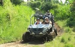 Buggy Discovery Tour by Bali Quad