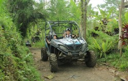 Buggy Explorer Tour by Bali Quad