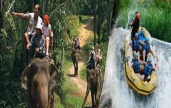Rafting and Elephant Ride