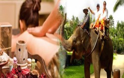 Elephant Riding & Spa Pack