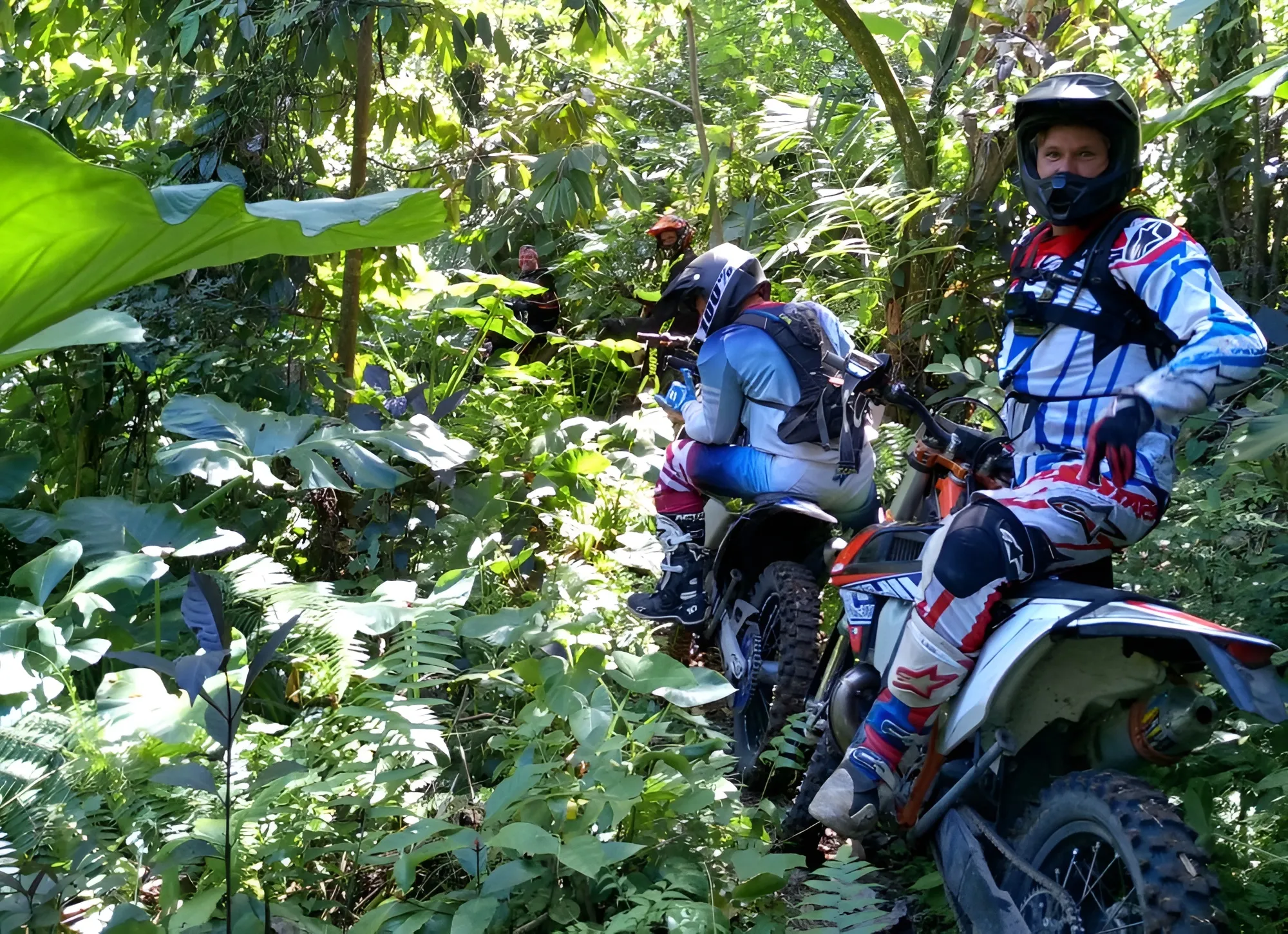 Full Day Kintamani Dense Forest Dirt Bike
