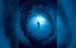 Special Charter Boat Diving by Ena