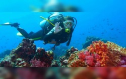 Snorkeling for Certified Divers