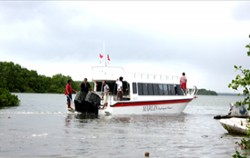 Marlin Fast Cruise - Nusa Penida Fast Boats