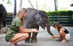Elephant Bathe & Breakfast Tour by Mason Elephant Park