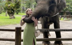 Elephant Park Visit Packages by Mason Elephant Park