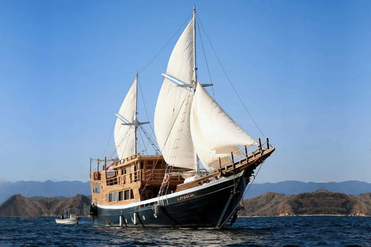 Open Trip Komodo 3D2N by Cordelia Luxury Phinisi