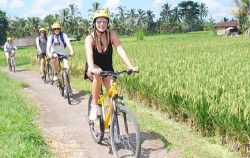 Cycling, Elephant Ride and ATV Ride