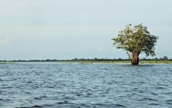 Orangutan and Dayak Tour 6 Days 5 Nights