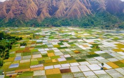 Rinjani Trekking 4 Days and 3 Nights Tours