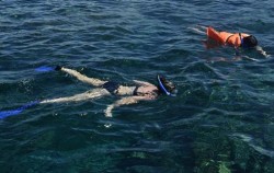Lembongan Cliff Jumping and Snorkeling