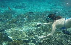 Lembongan Overnight Package 2 Days 1 Night
