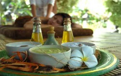 Cycling, Elephant Ride & Spa Package