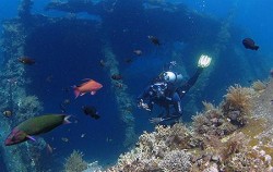 Diving Activities by BMR
