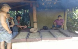Bali Great Bike Tour