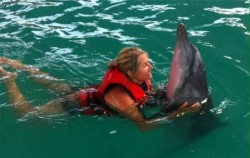Wake Bali Dolphin